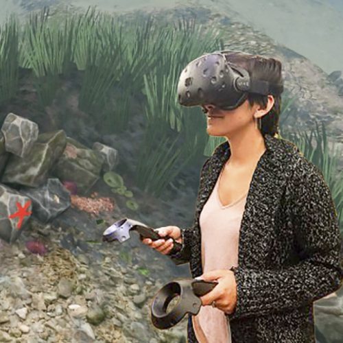 virtual reality sustainability